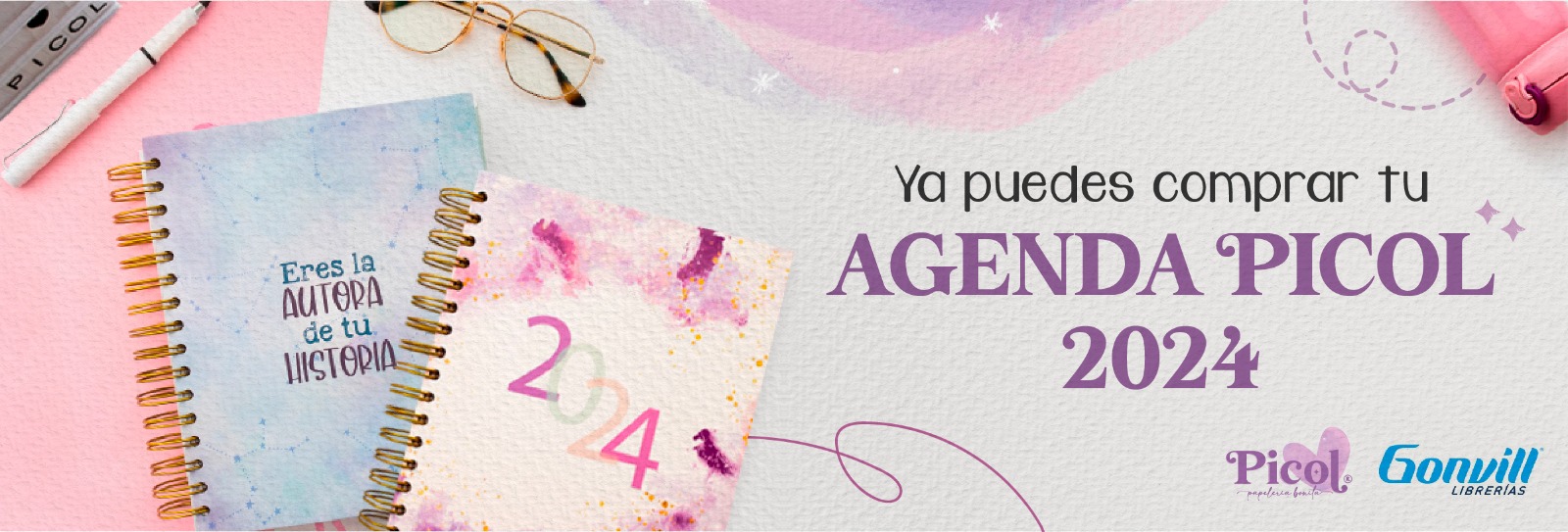 AGENDAS PICOL
