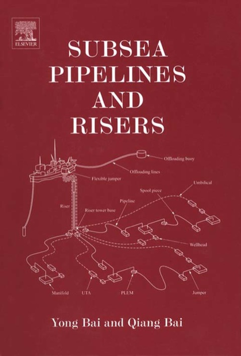 SUBSEA PIPELINES AND RISERS