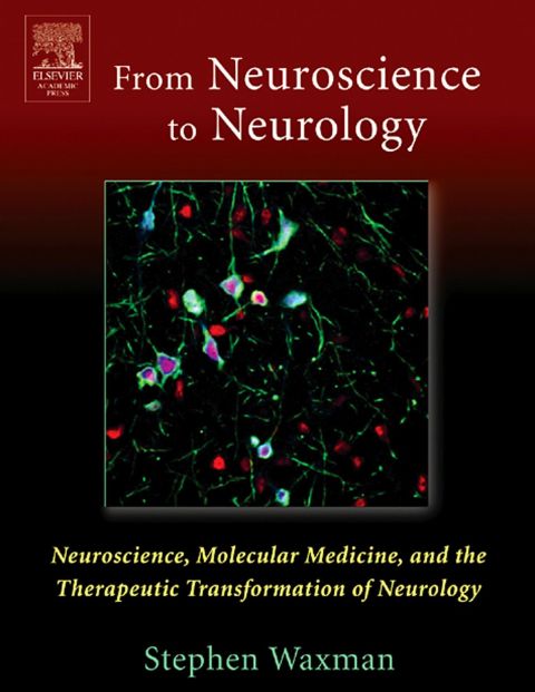 FROM NEUROSCIENCE TO NEUROLOGY: NEUROSCIENCE, MOLECULAR MEDICINE, AND THE THERAPEUTIC TRANSFORMATION OF NEUROLOGY