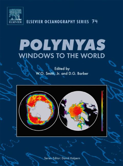 POLYNYAS: WINDOWS TO THE WORLD: WINDOWS TO THE WORLD