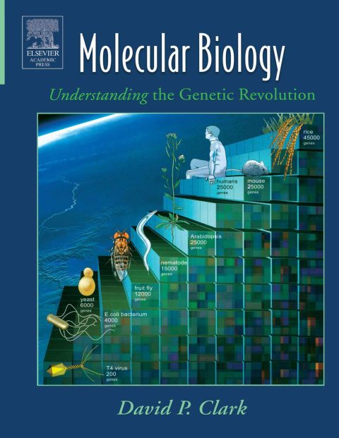 MOLECULAR BIOLOGY: UNDERSTANDING THE GENETIC REVOLUTION