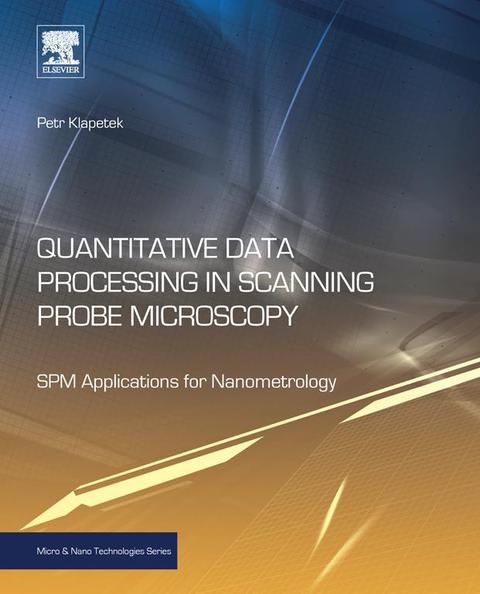 QUANTITATIVE DATA PROCESSING IN SCANNING PROBE MICROSCOPY: SPM APPLICATIONS FOR NANOMETROLOGY