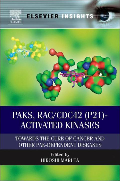 PAKS, RAC/CDC42 (P21)-ACTIVATED KINASES: TOWARDS THE CURE OF CANCER AND OTHER PAK-DEPENDENT DISEASES