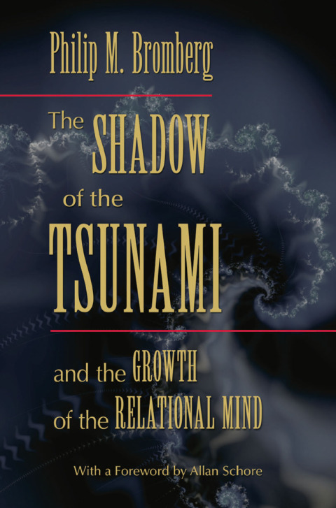 THE SHADOW OF THE TSUNAMI