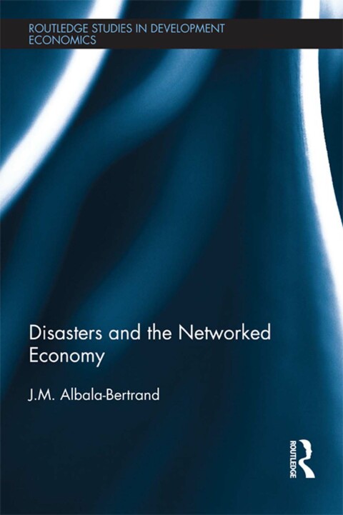 DISASTERS AND THE NETWORKED ECONOMY
