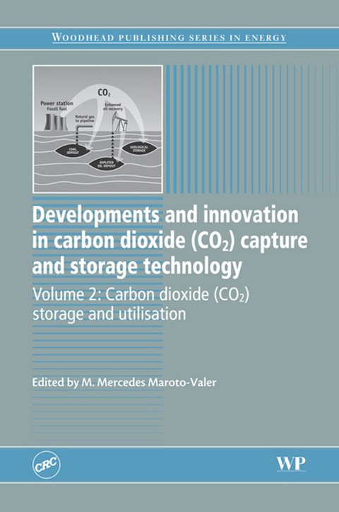 DEVELOPMENTS AND INNOVATION IN CARBON DIOXIDE (CO2) CAPTURE AND STORAGE TECHNOLOGY: CARBON DIOXIDE (CO2) STORAGE AND UTILISATION