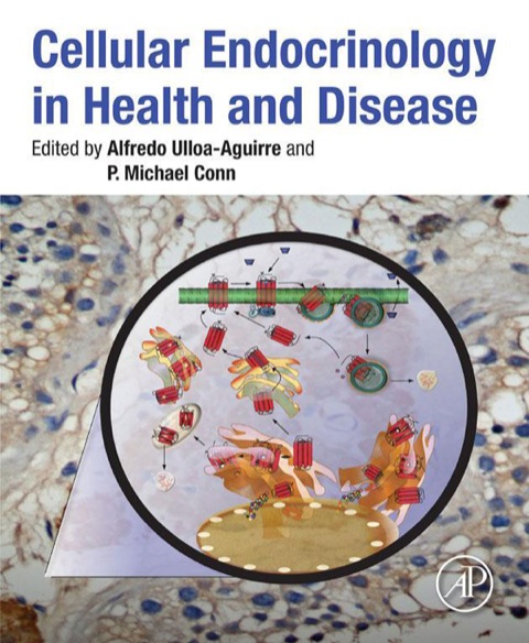 CELLULAR ENDOCRINOLOGY IN HEALTH AND DISEASE