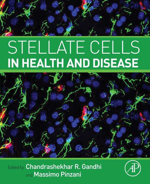 STELLATE CELLS IN HEALTH AND DISEASE