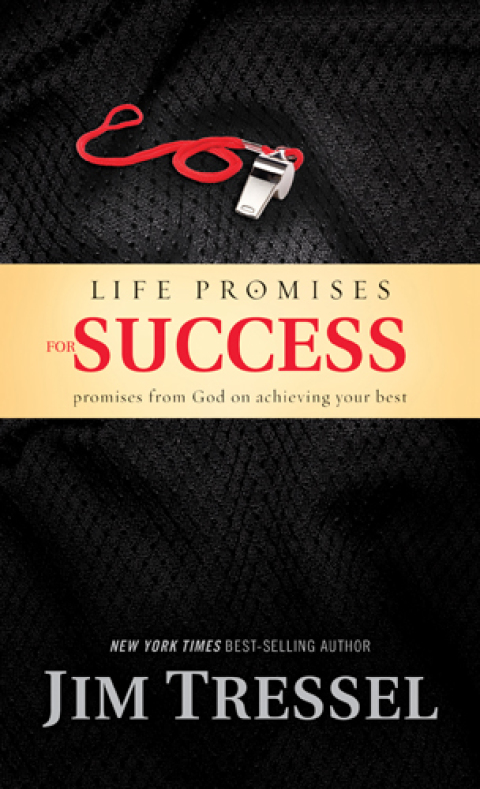 LIFE PROMISES FOR SUCCESS