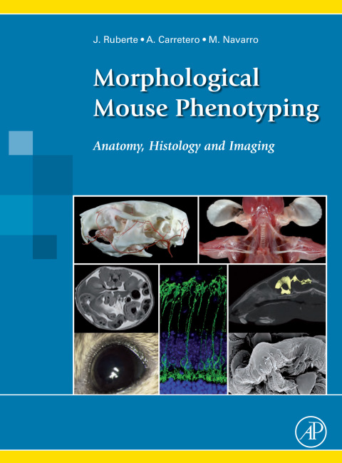 MORPHOLOGICAL MOUSE PHENOTYPING