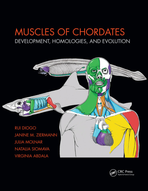MUSCLES OF CHORDATES