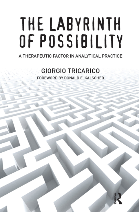 THE LABYRINTH OF POSSIBILITY