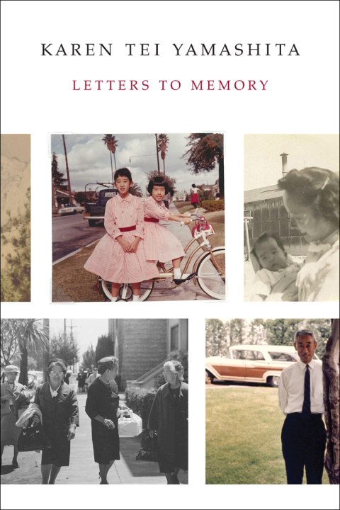 LETTERS TO MEMORY