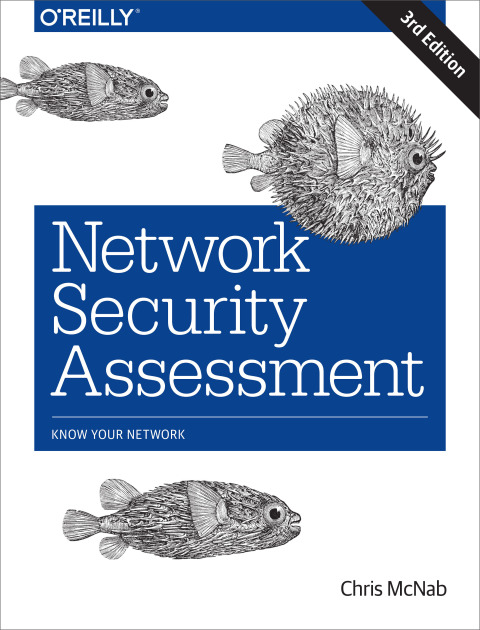 NETWORK SECURITY ASSESSMENT