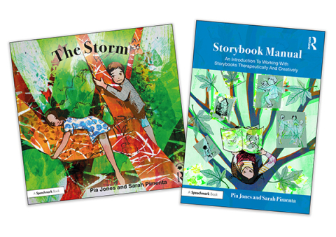 THE STORM AND STORYBOOK MANUAL