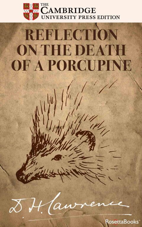 REFLECTION ON THE DEATH OF A PORCUPINE