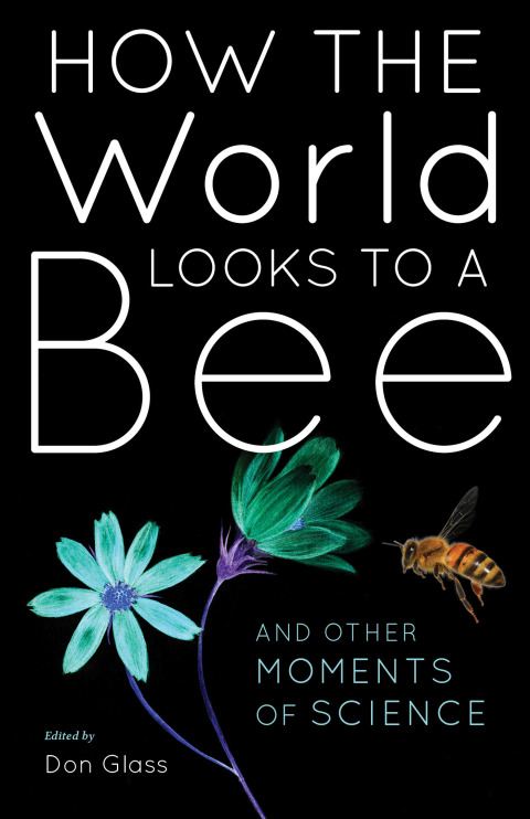 HOW THE WORLD LOOKS TO A BEE