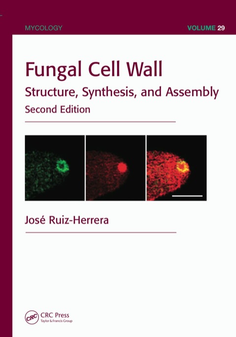 FUNGAL CELL WALL