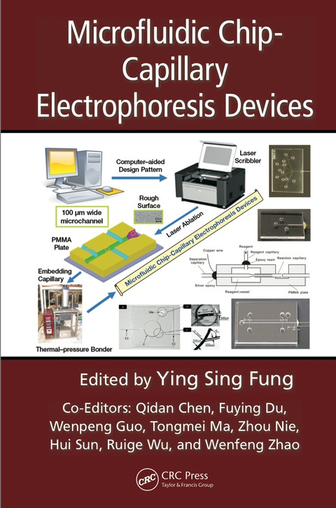 MICROFLUIDIC CHIP-CAPILLARY ELECTROPHORESIS DEVICES