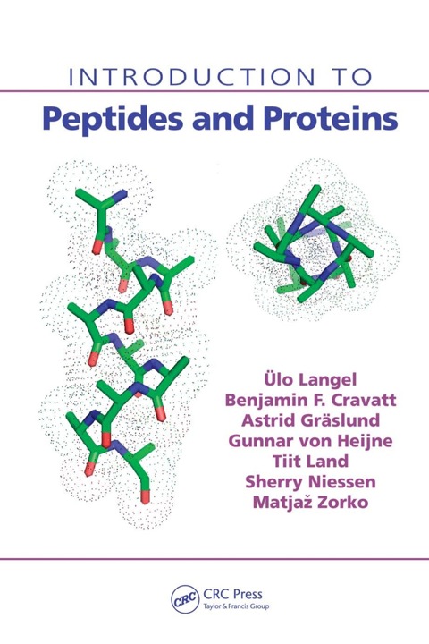 INTRODUCTION TO PEPTIDES AND PROTEINS