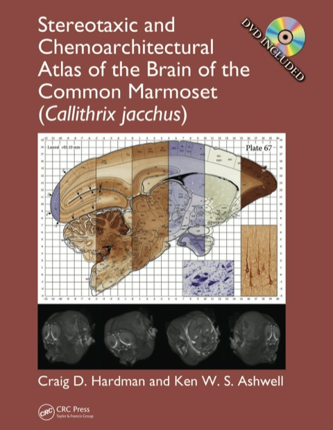 STEREOTAXIC AND CHEMOARCHITECTURAL ATLAS OF THE BRAIN OF THE COMMON MARMOSET (CALLITHRIX JACCHUS)