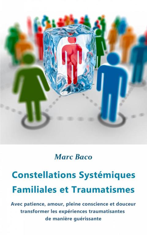 CONSTELLATIONS SYSTMIQUES FAMILIALES ET TRAUMATISMES