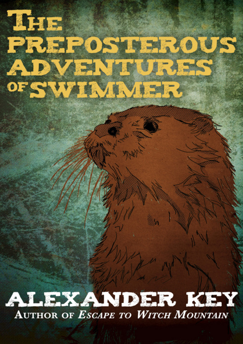 THE PREPOSTEROUS ADVENTURES OF SWIMMER
