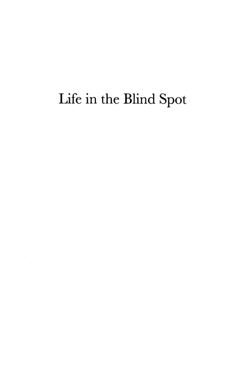 LIFE IN THE BLIND SPOT