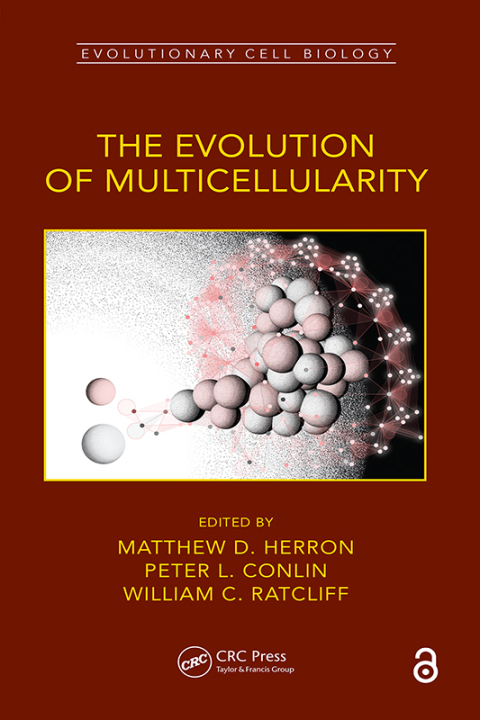 THE EVOLUTION OF MULTICELLULARITY