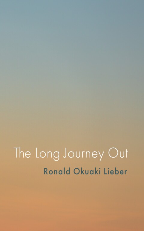 THE LONG JOURNEY OUT