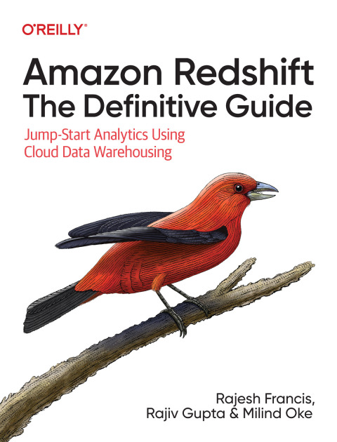 AMAZON REDSHIFT: THE DEFINITIVE GUIDE