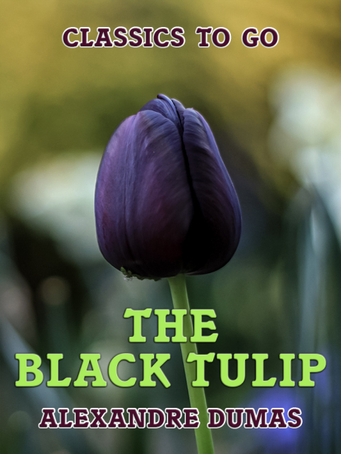 THE BLACK TULIP