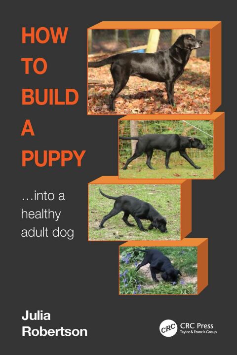 HOW TO BUILD A PUPPY