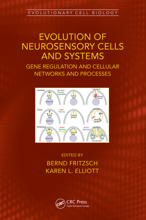 EVOLUTION OF NEUROSENSORY CELLS AND SYSTEMS