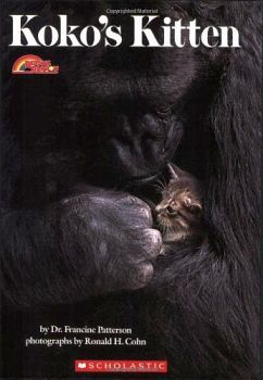 KOKO'S KITTEN