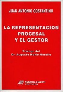REPRESENTACION PROCESAL Y EL GESTOR, LA