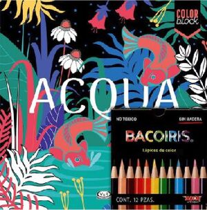 ACQUA -COLOR BLOCK-                       (C/COLORES)