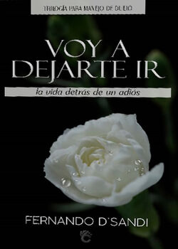 VOY A DEJARTE IR LA VIDA DETRS DE UN ADIS