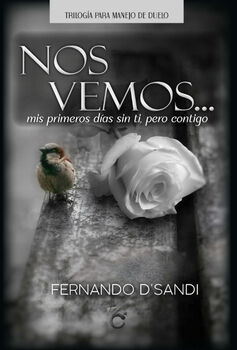 NOS VEMOS... -MIS PRIMEROS DAS SIN TI, PERO CONTIGO- (NVA. ED.)