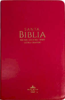 SANTA BIBLIA -CLÁSICA FUCSIA- (LETRA GRANDE/CANTO DORADO)
