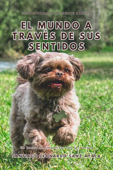 MUNDO A TRAVS DE SUS SENTIDOS, EL -DECODIFICANDO LA MENTE-