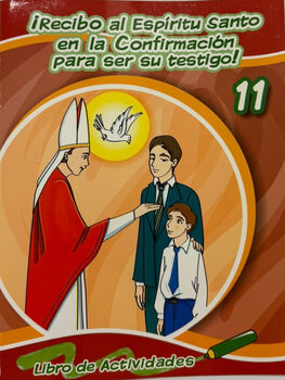 RECIBO AL ESPIRITU SANTO EN LA CONF. 11 -ACTIVIDADES-