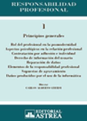 RESPONSABILIDAD PROFESIONAL NO. 1 (PRINCIPIOS GENERALES)