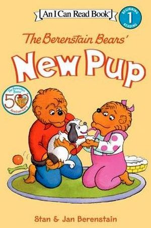 BERENSTAIN BEAR'S NEW UP