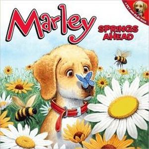 MARLEY MARLEY SPRINGS AHEAD