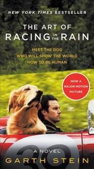 THE ART OF RACING IN THE RAIN