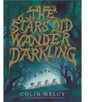 THE STARS DID WANDER DARKLING