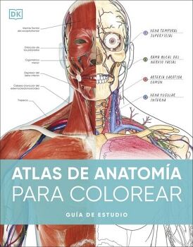 ATLAS DE ANATOMA PARA COLOREAR