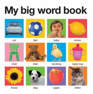 MY BIG WORD BOOK