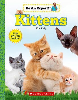 KITTENS (BE AN EXPERT!)